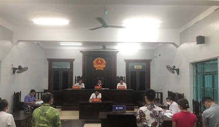 Viện KSND huyện Phú Xuyên phối hợp với TAND cùng cấp tổ chức phiên tòa...